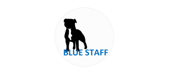 Blue Staff